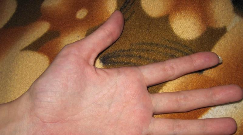 Čiary na dlani - to znamená na pravej ruke